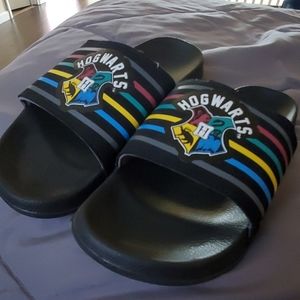 Harry Potter slides